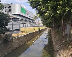 工程建設環(huán)境對城市生態(tài)會有什么影響？